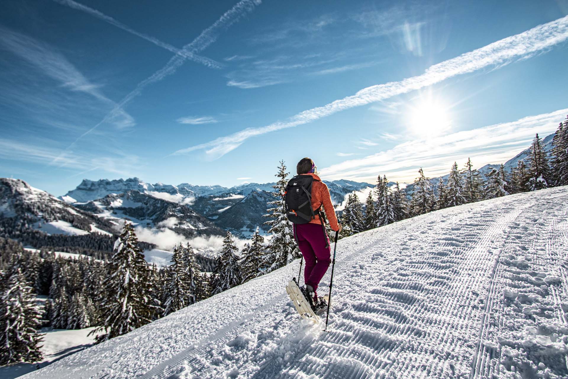 Guided snowshoe or walking trips