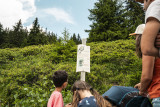 Famille qui lit un panneau du sentier des oiseaux