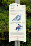 Sentier des oiseaux Châtel