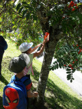 Les enfants perforent leur carte à la borne sur le parcours de la course d'orientation