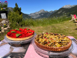 Tartes aux fraises et à la rhubarbe maison