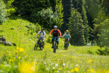 E-Bike route -Tour du Mont de Grange from Châtel (N°23)_Châtel