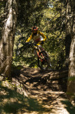 Saut dans le tracé de la piste entre les arbres