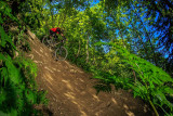 Bike Park Châtel