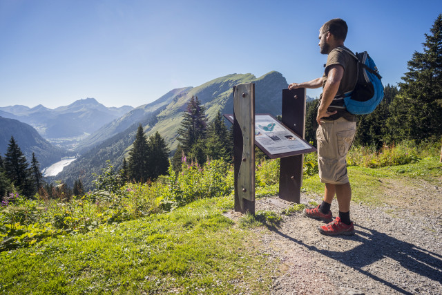 Col de Bassachaux à Châtel