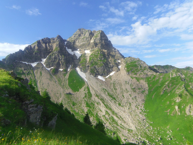 vue sur le sommet du Mont-de-Grange