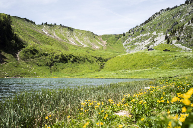 Le lac d'Arvoin