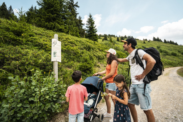 Balade en famille sur le sentier des oiseaux