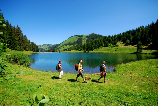 Lac de la Mouille