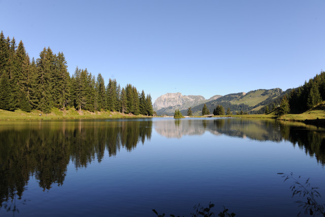 Vue sur le calme Lac de la Mouille, lac en altitude au milieu de la forêt