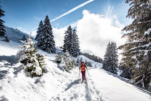 Itinéraire Pas de Morgins