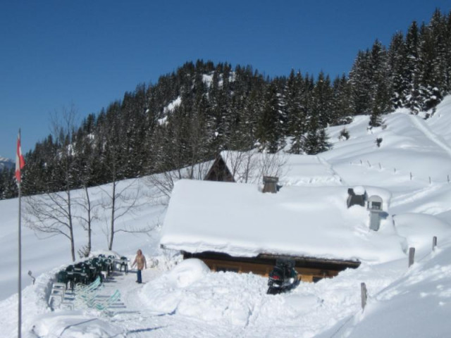 Restaurant d'altitude Le Chalet de Théo