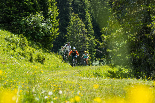 Parcours 19 - Châtel_Châtel