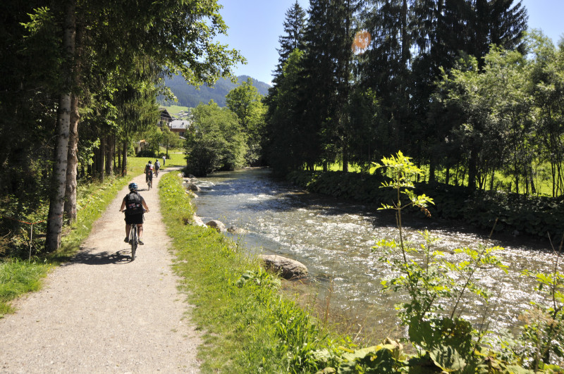 Vélo électrique - chemin des bords de Dranse