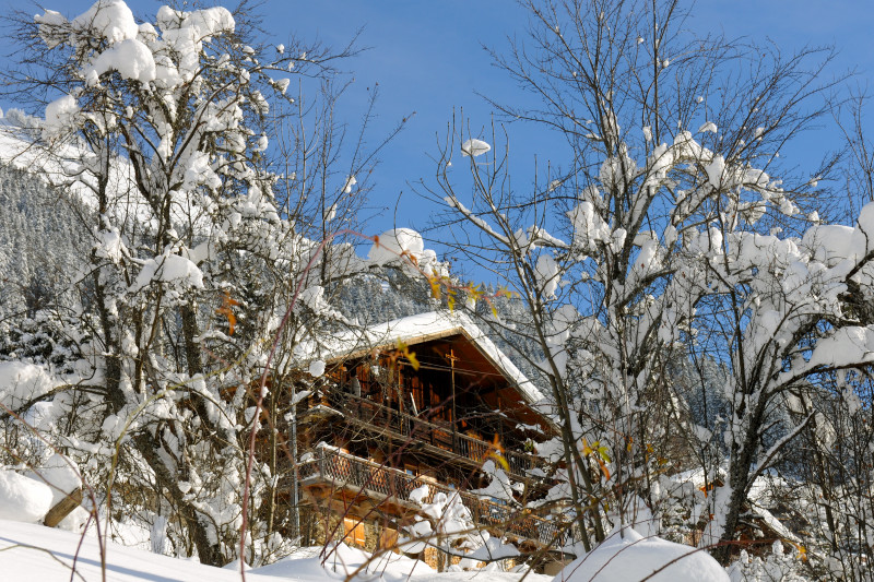 Chalet à Châtel