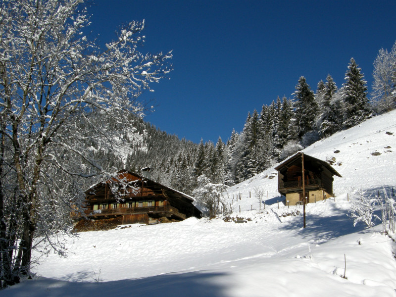 Chalet à Châtel