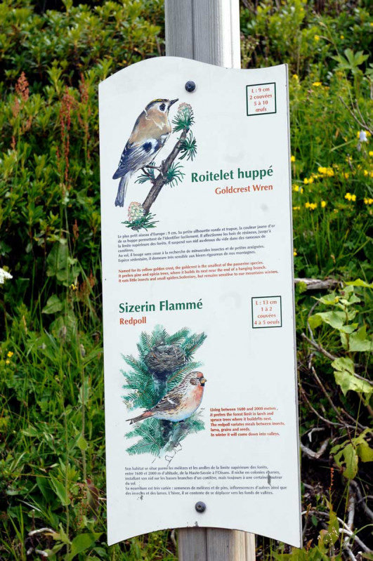 Sentier des oiseaux Châtel