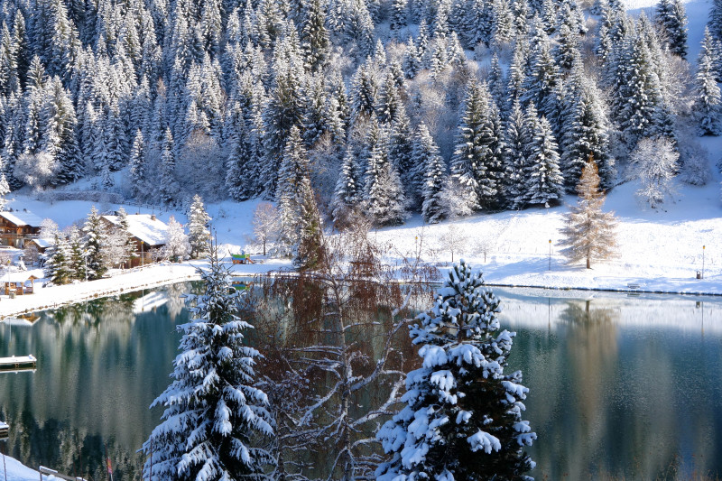 Lac de Vonnes à Châtel