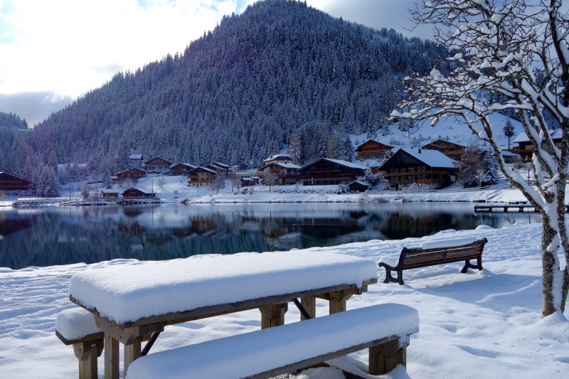 Lac de Vonnes à Châtel