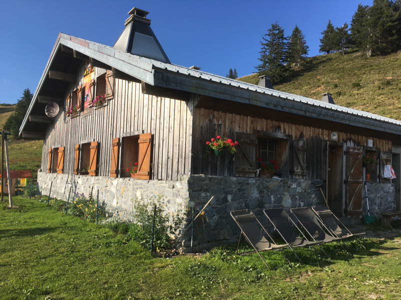 Le chalet avec chaises longues