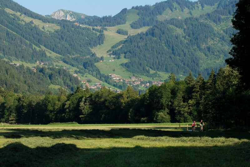 Chemin des Bords de Dranse