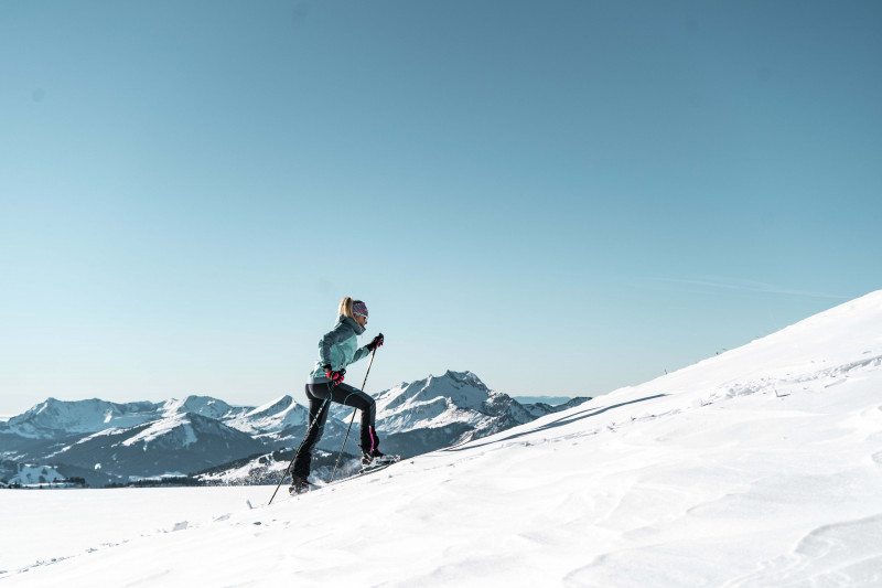 Itinéraire de ski de rando la Franco-Suisse