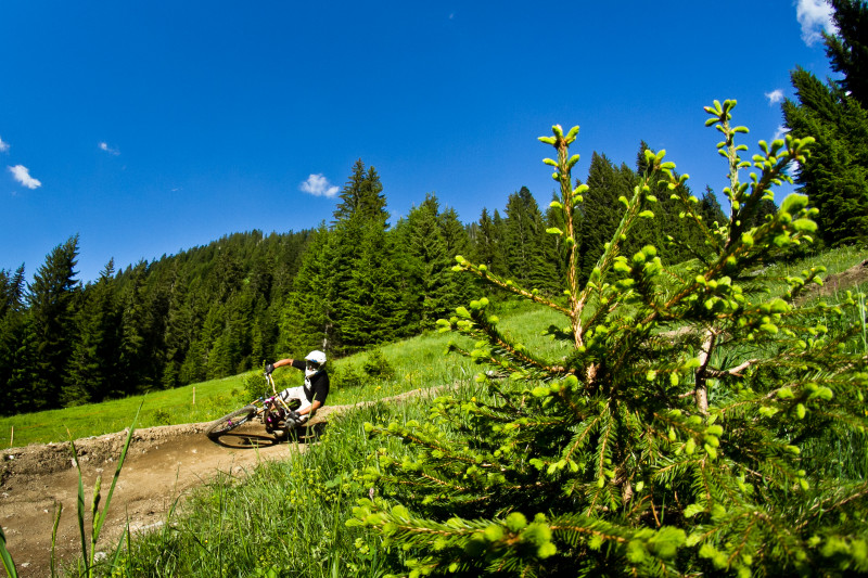 Domaine VTT de Châtel