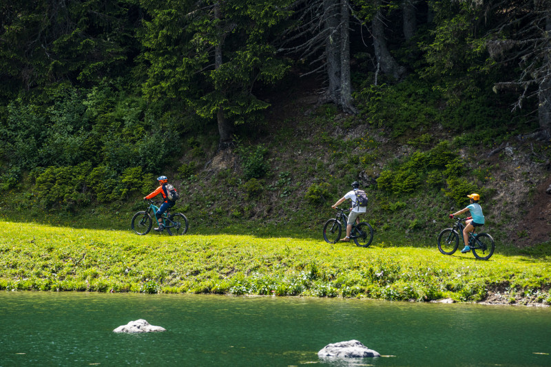 E-Bike route -Tour de Super Châtel  (N°29)_Châtel