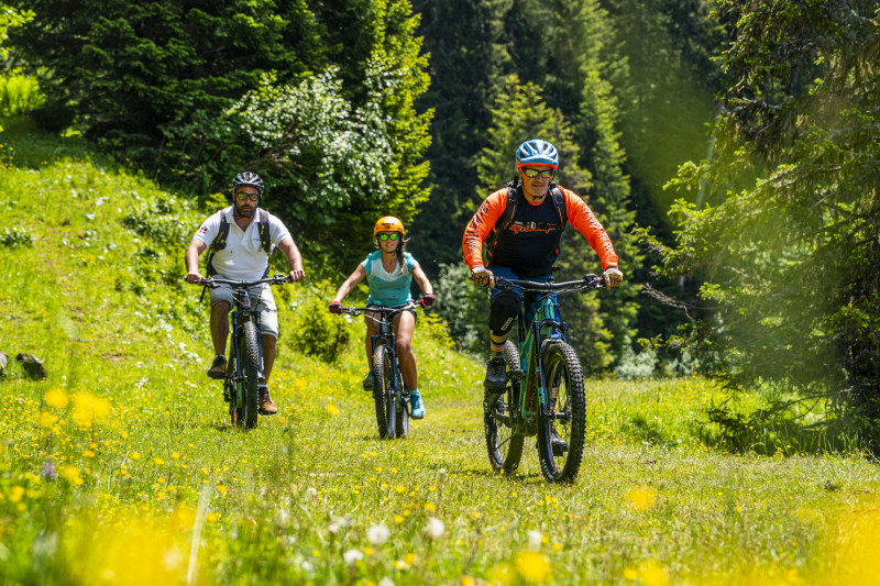 E-Bike route -Tour de Super Châtel  (N°29)_Châtel