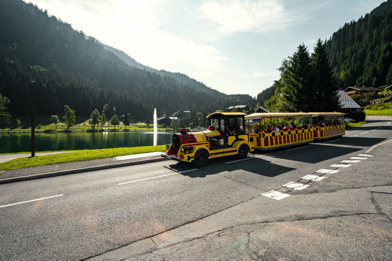 Petit train à Châtel