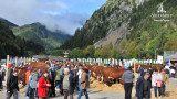 Foire d'autonme - Abondance