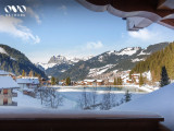 Vue sur le lac de Vonnes depuis le chalet