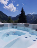 Jacuzzi vue montagne