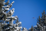 Parapente en hiver