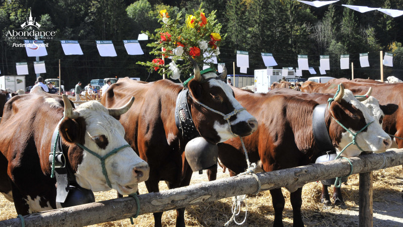 Foire d'automne Abondance