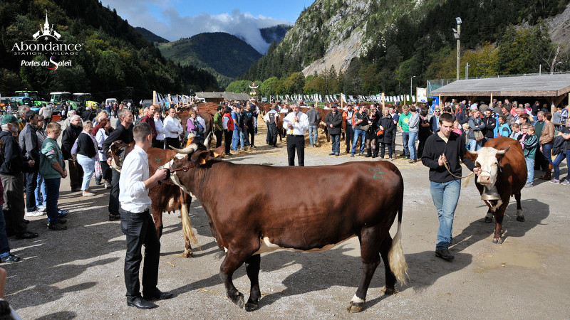 Foire d'automne à Abondance