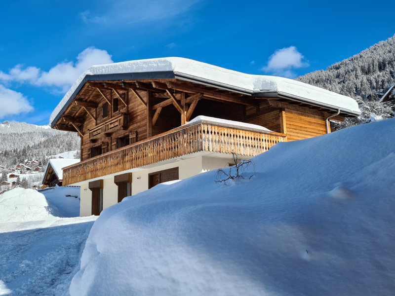 Le chalet sous la neige