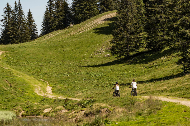 Sortie VTT ou e-bike en Valais