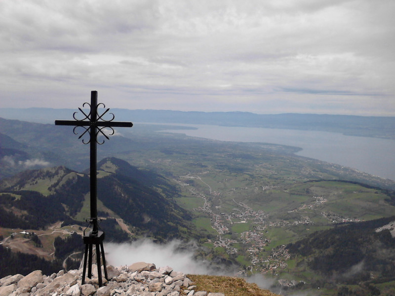 Le Léman et l'histoire de la théorie glaciaire