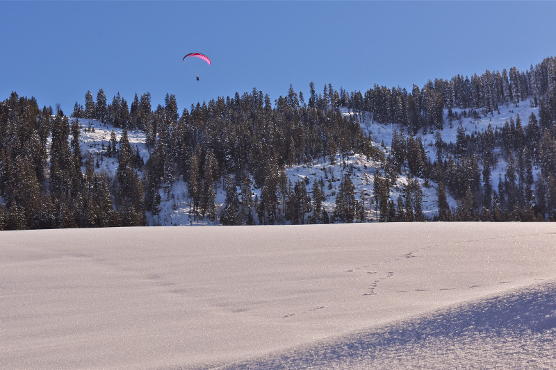 Parapente en hiver