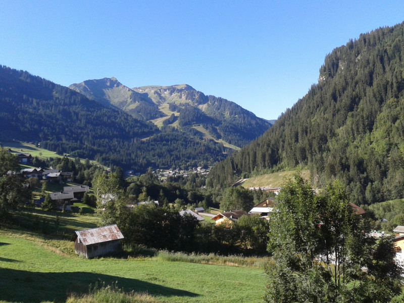 2 pièces - Chaumière des Neiges