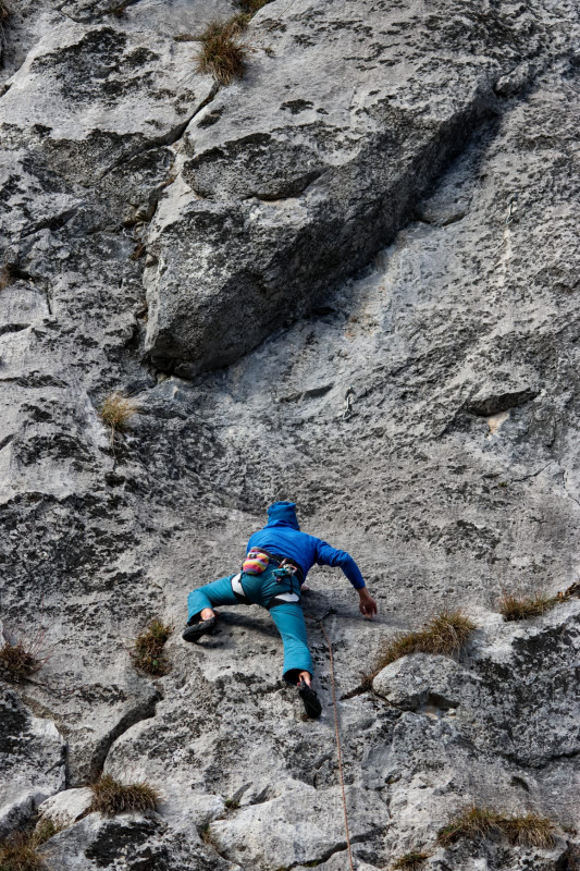 Activité escalade