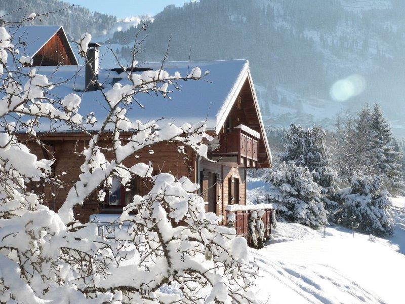 Le chalet sous la neige